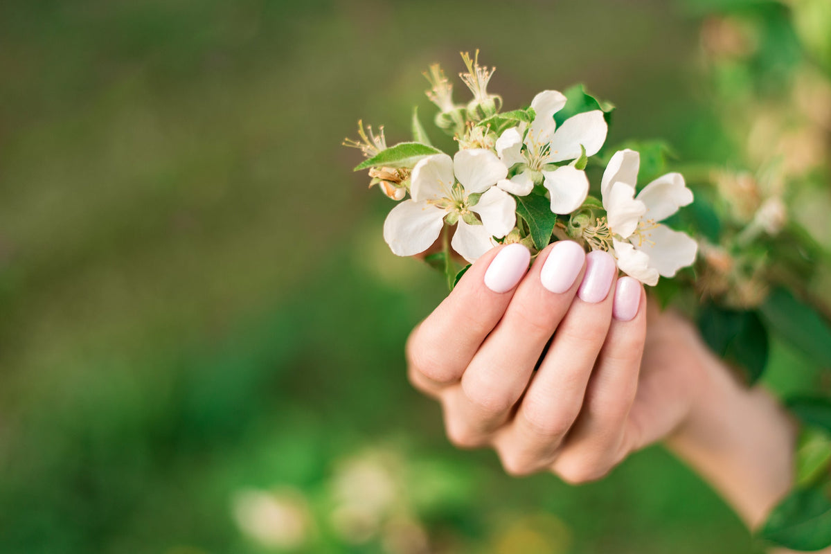 Manikürte Nägel, die eine Blume halten