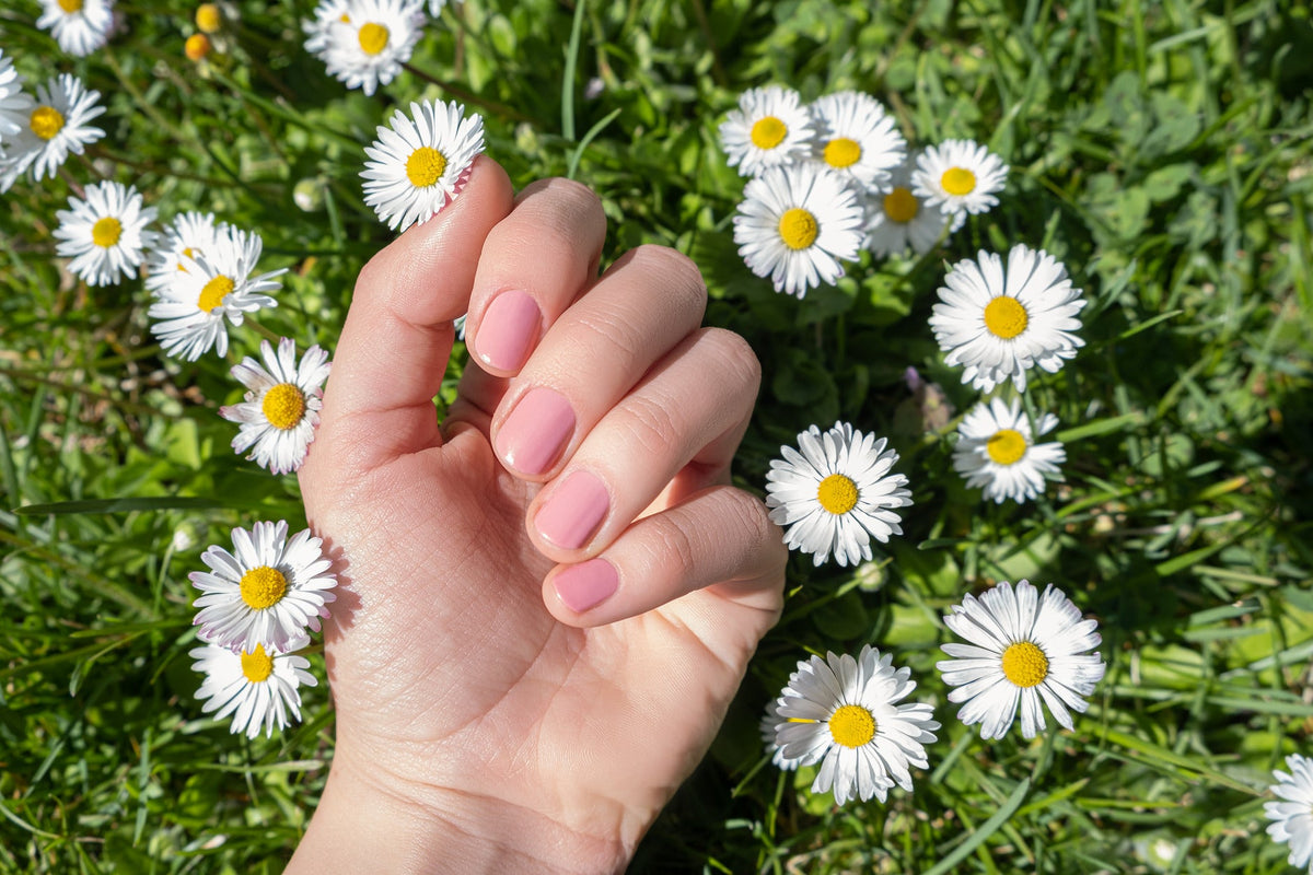 een hand met mooie nagelkunst rustend op gras met madeliefjes
